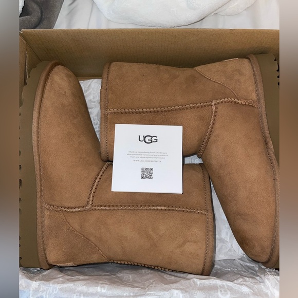 Brand New Chestnut Uggs - Picture 2 of 8